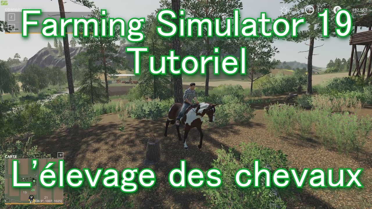 Farming Simulator 19 Tutoriel L'élevage des Chevaux [FR] - YouTube