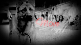 Thor | Move | Bad Moon