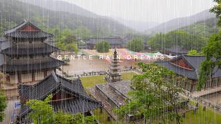 Meditation Rain ASMR | Peaceful Temple Rain on Buddha's Birthday | Deep Sleep White Noise screenshot 4