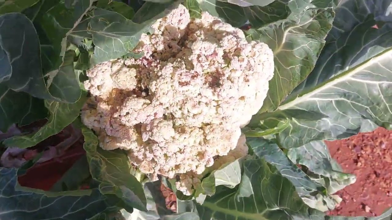 Pocos avances después de las tormentas