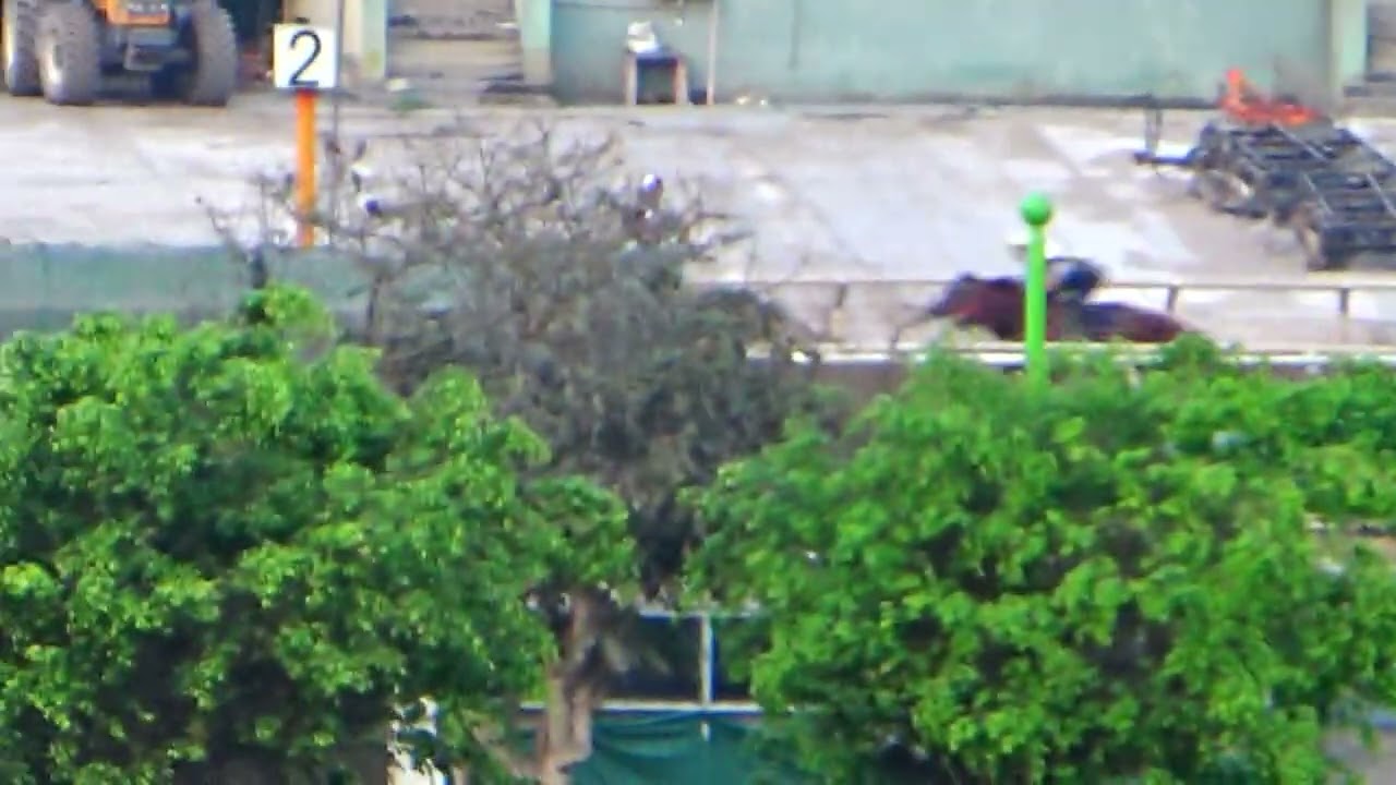 Viene Castigado - Mr  Scott 22Ene26