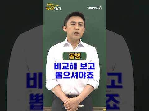 대선후보 공약 비교① ‘정치 공약’/ #채널A #shorts #동앵과뉴스터디