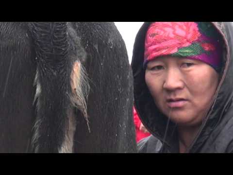 Video: Opknoping Met Adelaarsjagers In West-Mongolië - Matador Network
