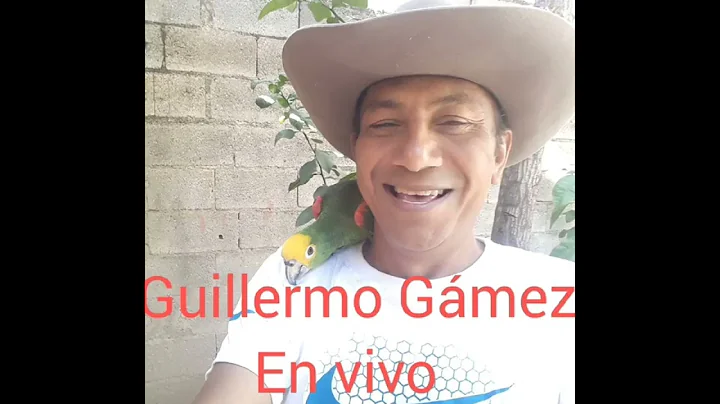 dejame nacer, tengo una mina en vivo - Guillermo G...