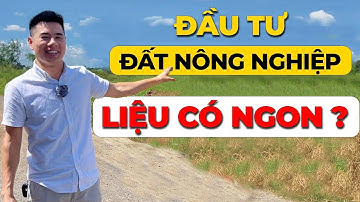 Đầu tư ĐẤT NÔNG NGHIỆP liệu rằng có hiệu quả với số đông?Chiến lược đầu tư đất nông nghiệp