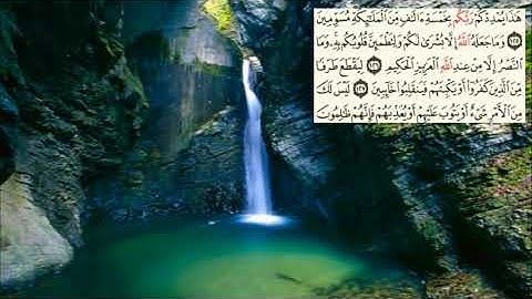 صفحة-66- page سعد الغامدي - -سورة ال عمران -Al-Imran