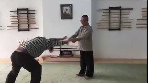 Master Huai Hsiang Wang - Prana Dynamics | The 5th instructor at THE MARTIAL CAMP 2020