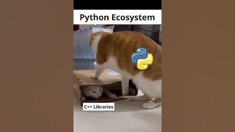 Python Shines when c Grinds.😂😂😂