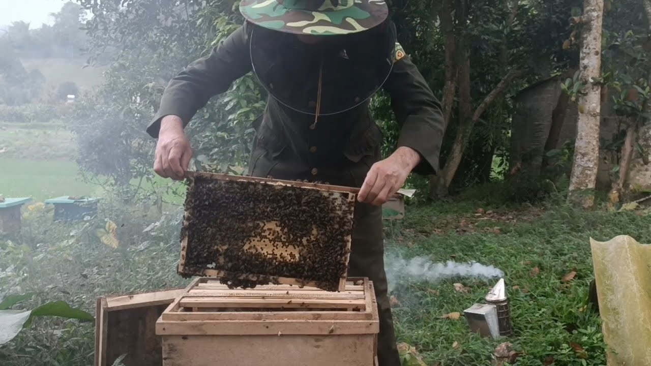 Lao hai cầu một đêm kết quả bất ngờ 