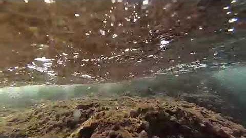 Cell - Security [ Video ]