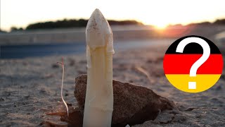 Asparagus - Seasonal vegetables in Germany