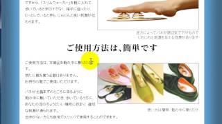 20141107中山法導先生動画2BGM