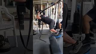 Bob on triceps motivation fitness sports training workout