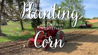 Planting Field Corn With a Farmall 140 | Hickory King and Jimmy Red