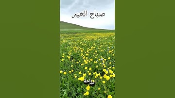 #دعاء_الصباح #صباح_الشروق #صلوا_على_النبي #اذكار_الصباح #اذكر_الله #دويتو #اكسبلور #الكويت #السعودية