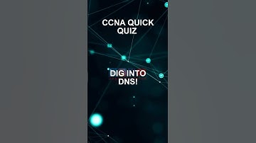 What port number does DNS typically use