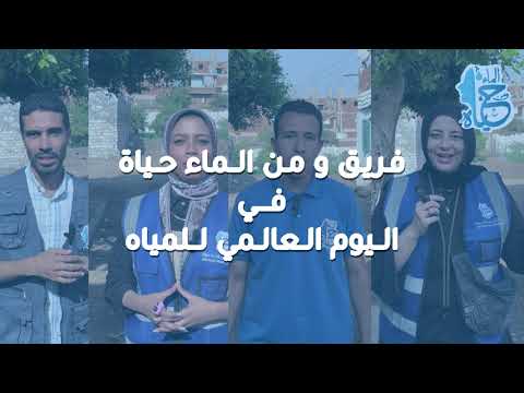 فريق العمل والهيكل الإداري