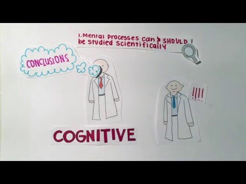 Video: Wat is de rol van een cognitief psycholoog?