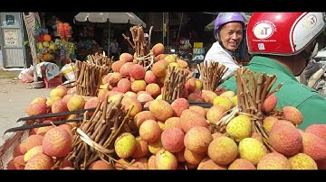 Giá Vải U Hồng Thế Nào Khi Các Của Cân Mở Nhiều I Luc Ngan Lychee I Núi Đồi Lục Ngạn