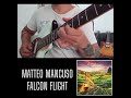 Matteo Mancuso - Falcon Flight #guitar #music #learning #matteomancuso