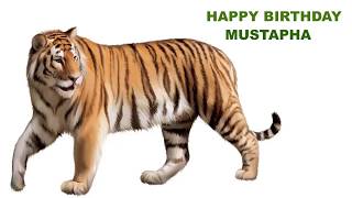 Mustapha  Animals & Animales - Happy Birthday