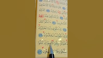 سورة القلم الأية 39 إلى 42 بصوت سعد الغامدي