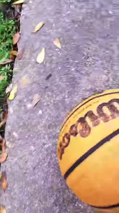 basketball stunt