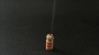 長安NEO DXレギュラー（線香）