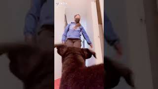 Whats Popping? Brand New Whip Just Hopped In