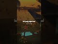 كذب من قال الطيور على اشكالها تقع    نجومي