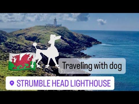 Strumble head lighthouse Wales holiday traveling with dog
