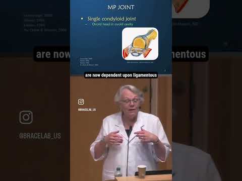 Learn More About The MP Joint In The Thumb