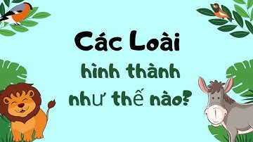 Sự hình thành Loài - Sinh Học - tập 15 | Tri thức nhân loại