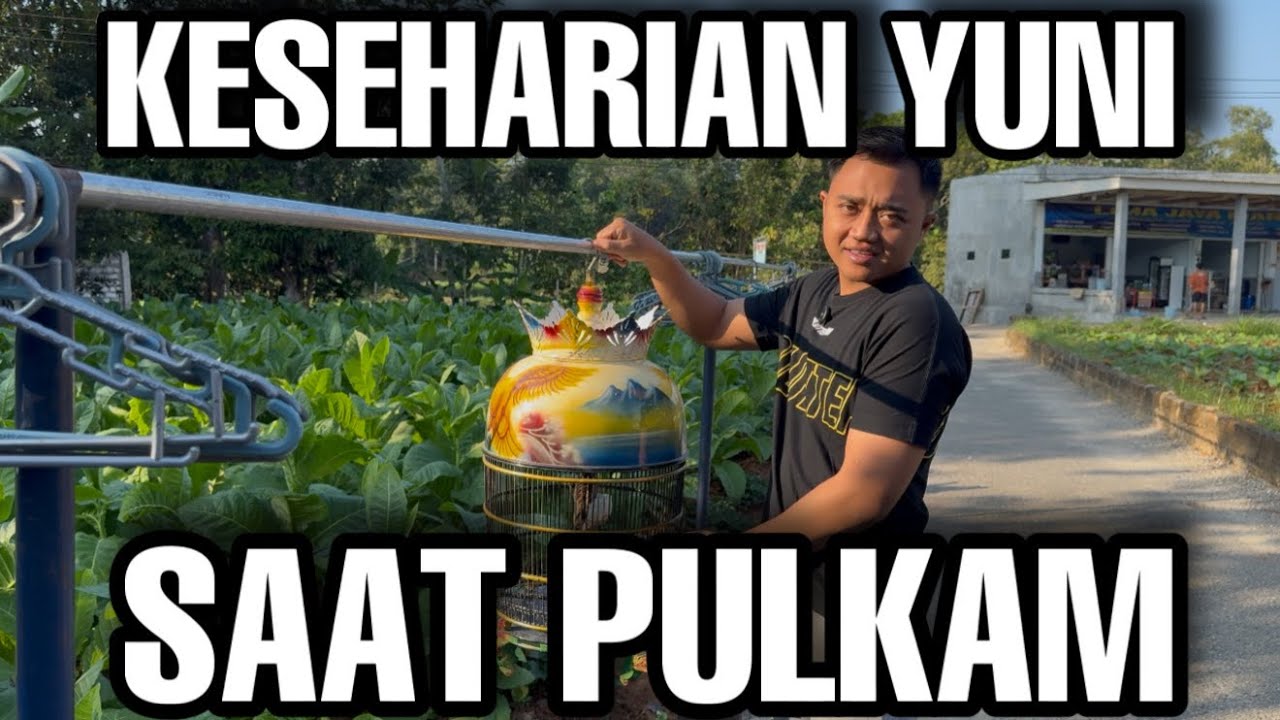 AKTIFITAS YUNI SAAT PULANG KAMPUNG (MADURA)