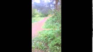 skoki rowerami w lesie odcinek 2