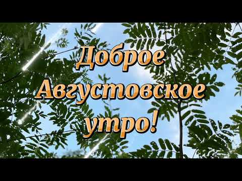 Доброе утро! Удачного августа! Привет, август!