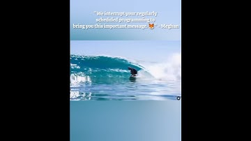 “We interrupt your regularly scheduled programming to bring you this important message. 🦊” #Meghan