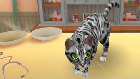 Cat Hotel by Tivola: Part 1