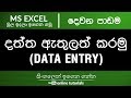 Microsoft excel beginner course sinhala part 02  data entry