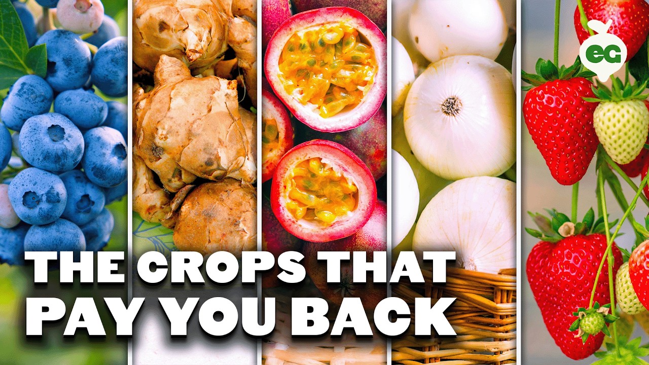 Grow These 29 Perennial Crops for Endless Harvests