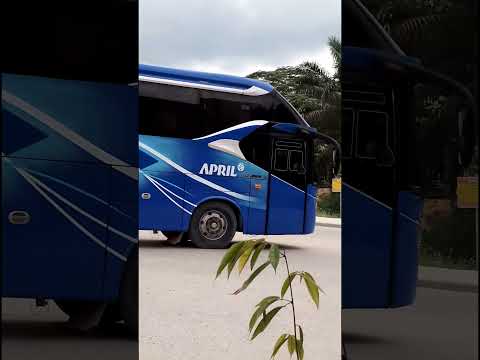 Pariwisata Pelalawan: Mengungkap Pesona Negeri Seribu Suluk Melalui Armada Bus Pariwisata