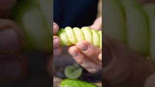 Шнековый ключ для овощей 🥒 с AliExpress #фрост #shorts #frost #провыживание #выживание #бушкрафт