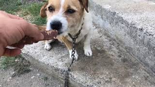 Qeni Qe Ushqehet Me Çokollata