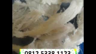 Download lagu Sarang Burung walet, medan, semarang, salatiga, solo, surabaya