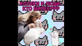 БЫВАЮТ ТАКИЕ ИНТЕРЕСНЫЕ МЕСТА В МОСКВЕ ??? КАФЕ " котики и люди " БЫВАЮТ ТАКИЕ ИНТЕРЕСНЫЕ МЕСТА В МОСКВЕ ??? КАФЕ " котики и люди "