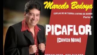 MARCELO BEDOYA PICAFLOR (Cerveza Negra) chords