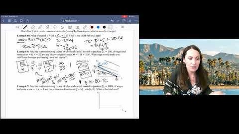 6.8 Perfect Substitutes and Perfect Complements