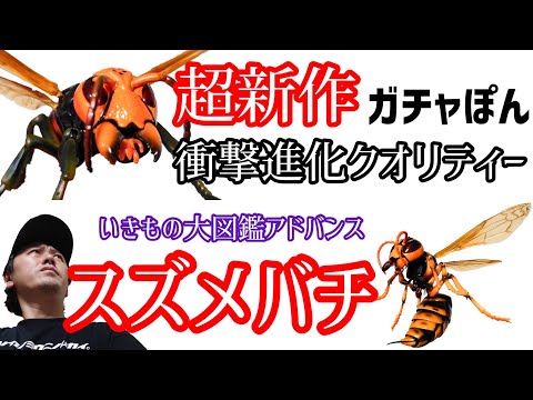 超新作ガチャ【衝撃進化クオリティー『スズメバチ』】ご紹介です。【いきもの大図鑑アドバンス】【カプセルトイ】開封&レビュー【バンダイ】【ガチャガチャ好き】