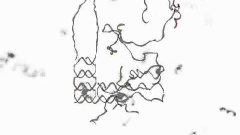 DNA Origami Based Self Assembly   Wyss Institute at Harvard