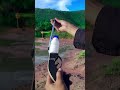 Creative Unique Making A Easy powerful - slingshot Alcohol  gun #shorts